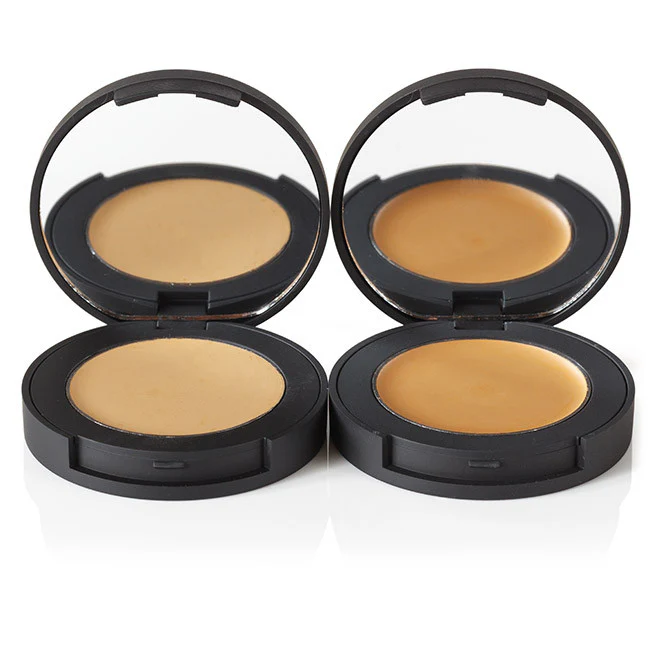 Perfect Finish Concealer